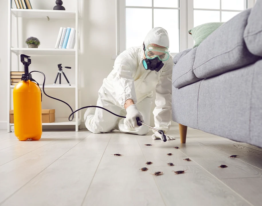 Lutte contre les insectes